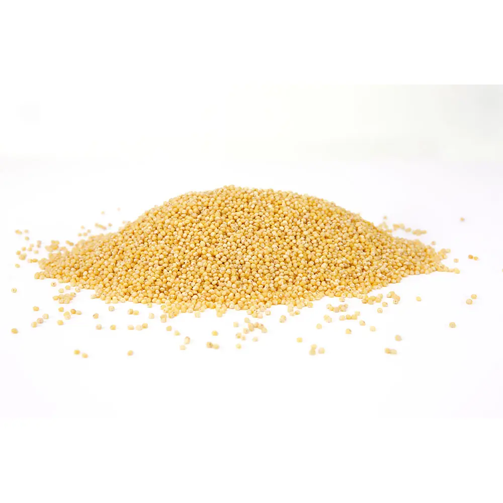 Organic Millet Grain