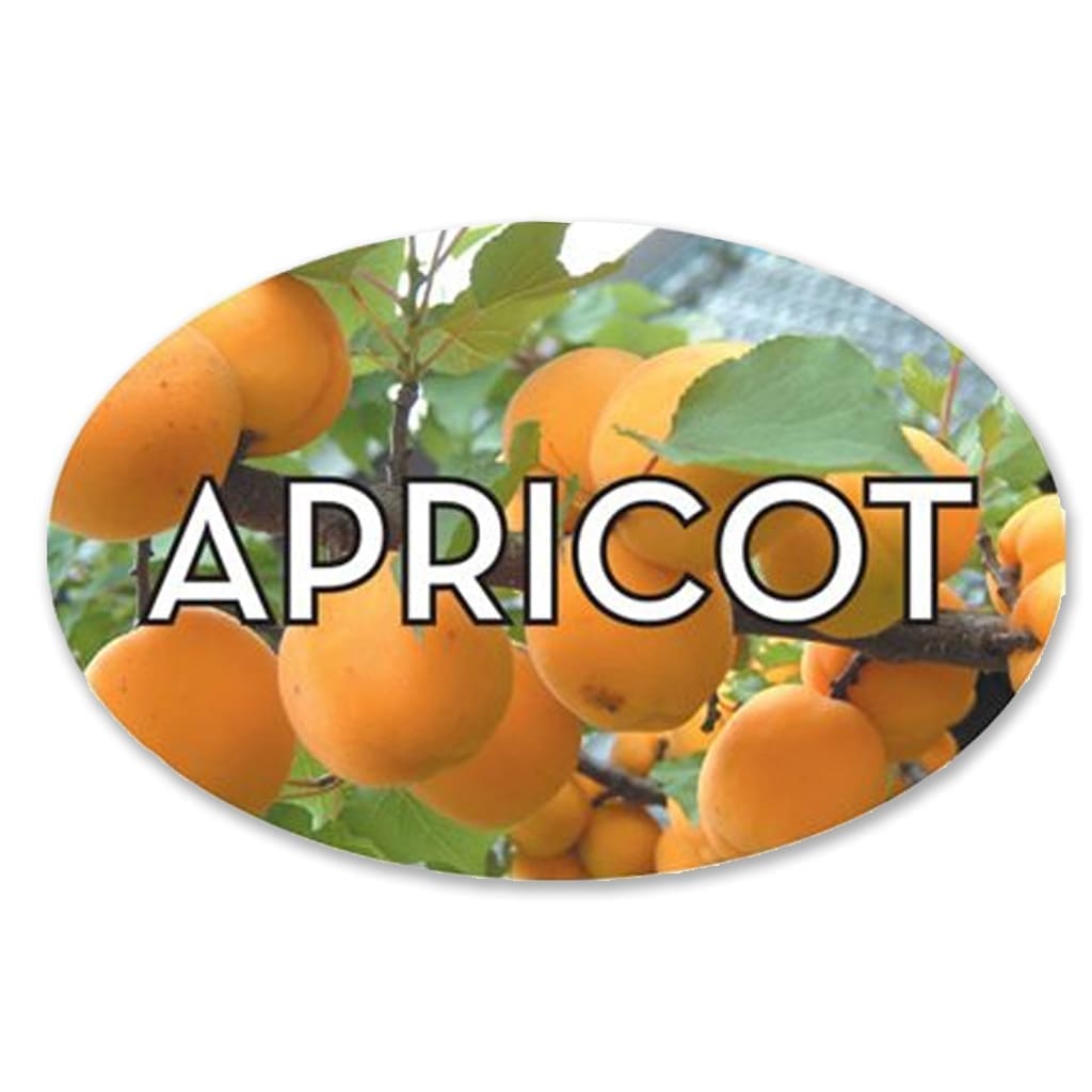 Apricot Label Bakery Flavor Sticker – 500/roll - Image 4