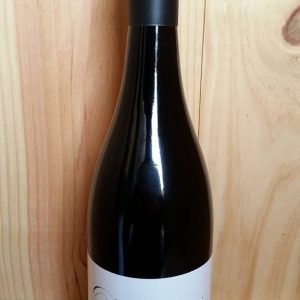 Dalwhinnie Moonambel Shiraz